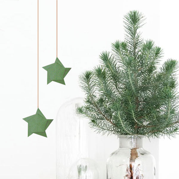 Etoiles de sapins - Archives