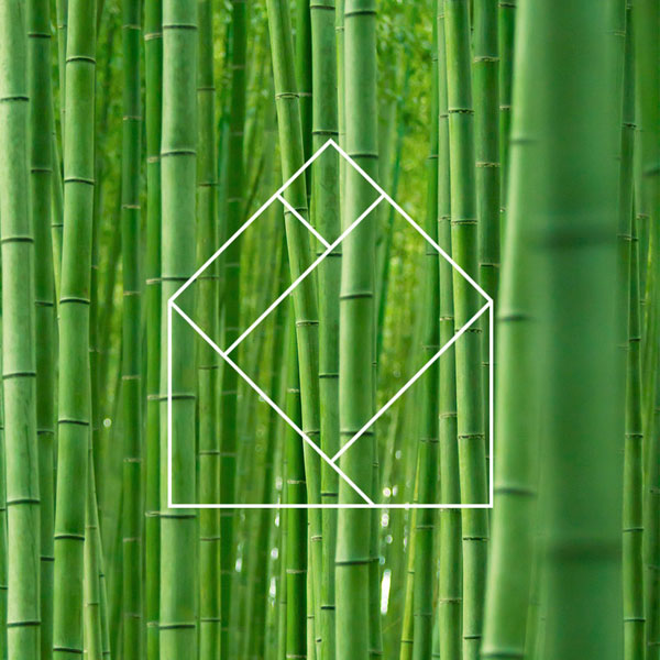 Lettres bambou - Archives