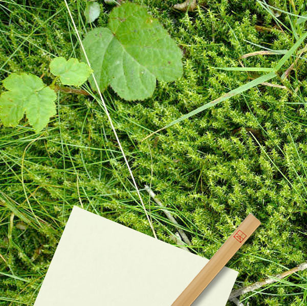 Origami en forêt - Samedi 15 mai