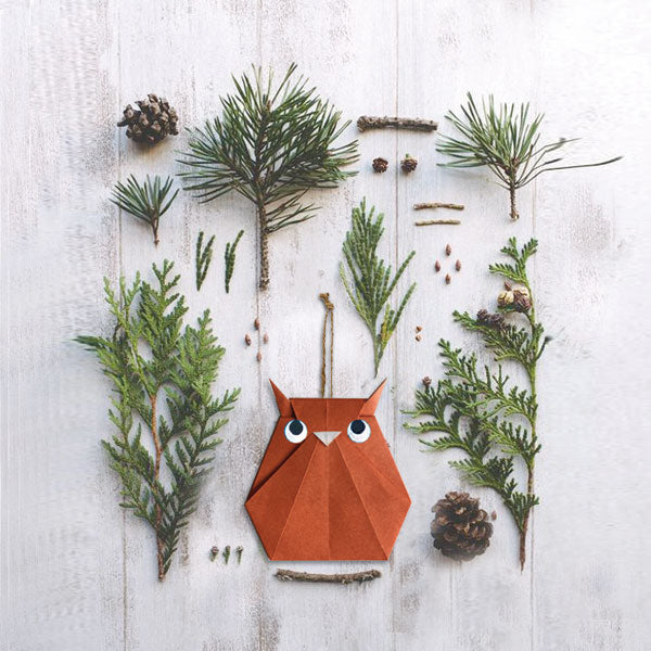 Hiboux à la forêt - Archives