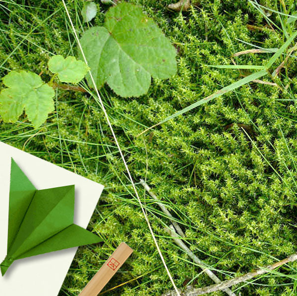 Jour de Midori - Mercredi 5 mai