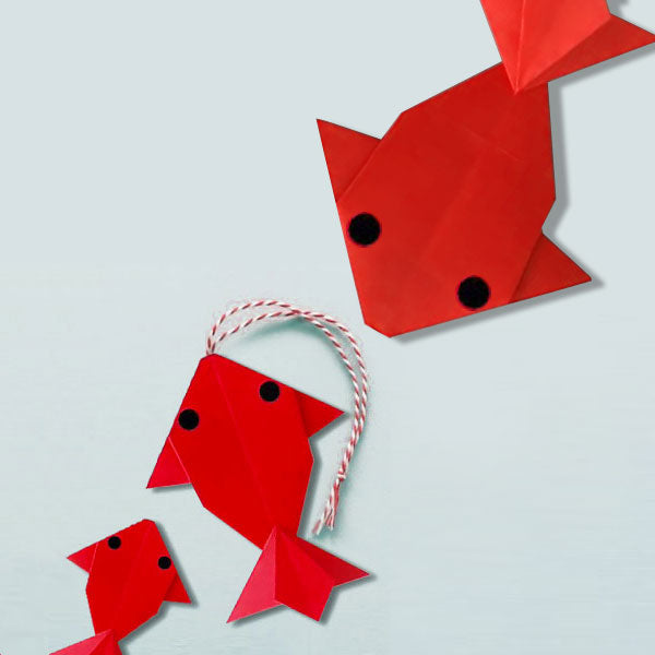 Koïs Rouges - Mercredi 11 septembre