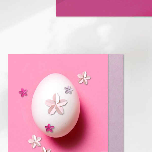 Œufs sakura - Mercredi 23 mars